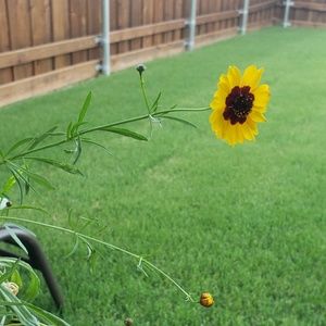 Meet your Posher, Anne